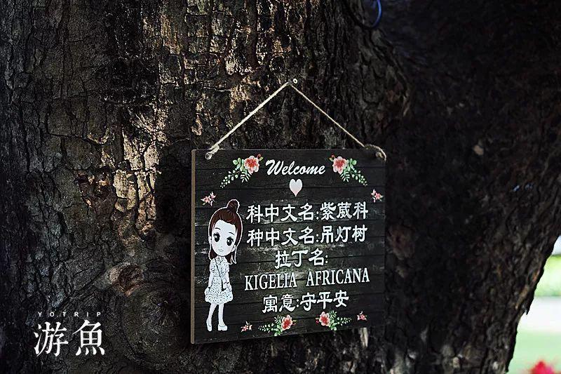 疯狂方块圣诞节