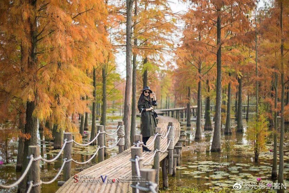 和女朋友旅游住一间房要多少钱?-专业有问必答平台