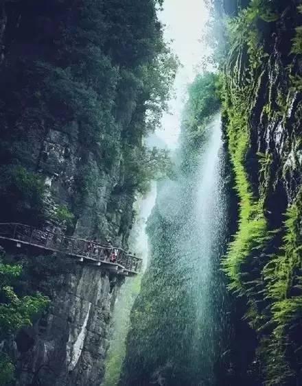 黎明守卫者